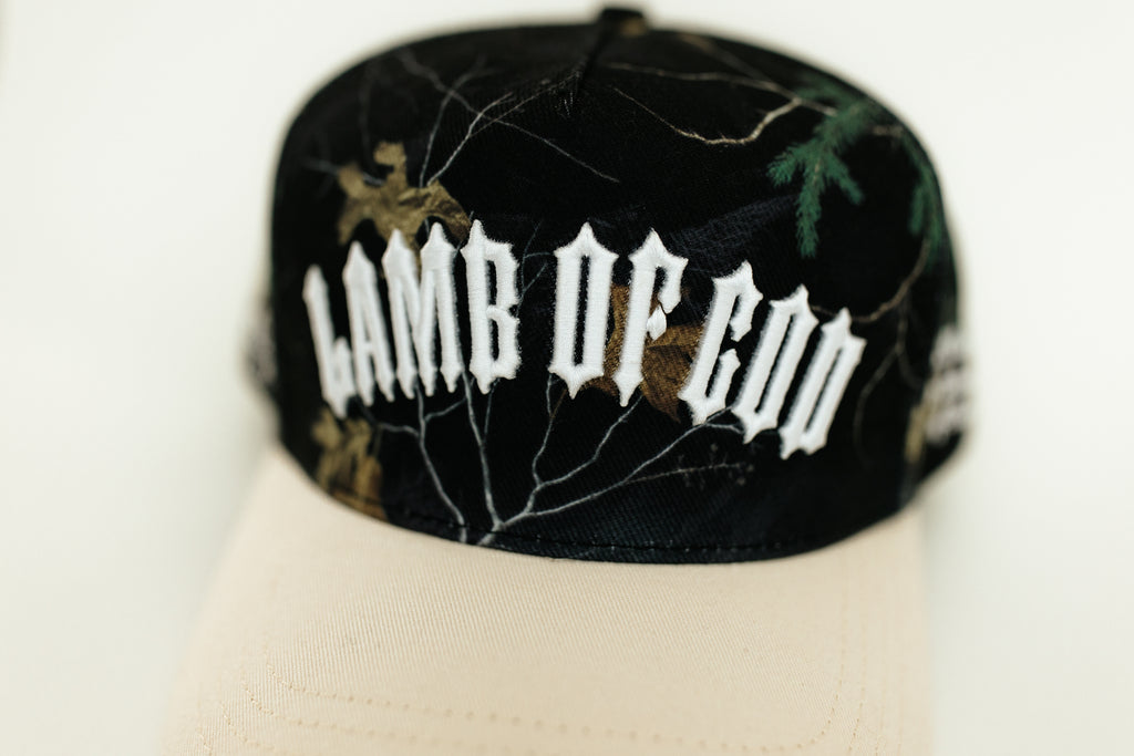 Lamb of god  1:29.  Camo